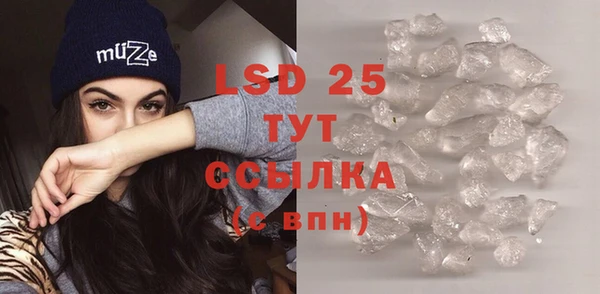 прущие грибы Володарск