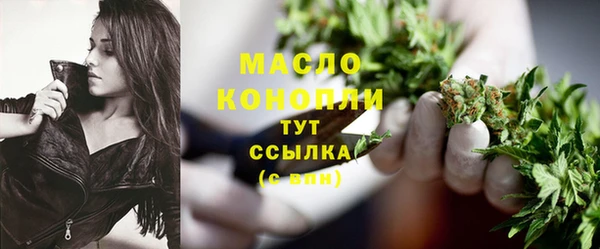 гидра Верея