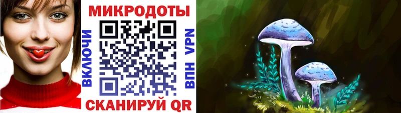 Галлюциногенные грибы Cubensis  кракен вход  Вышний Волочёк  купить наркотик 